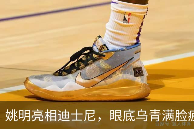 姚明亮相迪士尼，眼底乌青满脸疲惫，一身伤病走路一瘸一拐太沧桑