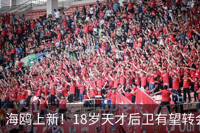 海鸥上新！18岁天才后卫有望转会英格兰，天赋顶级布莱顿要买